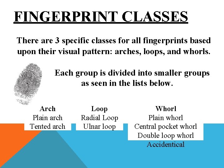 FINGERPRINT CLASSES There are 3 specific classes for all fingerprints based upon their visual