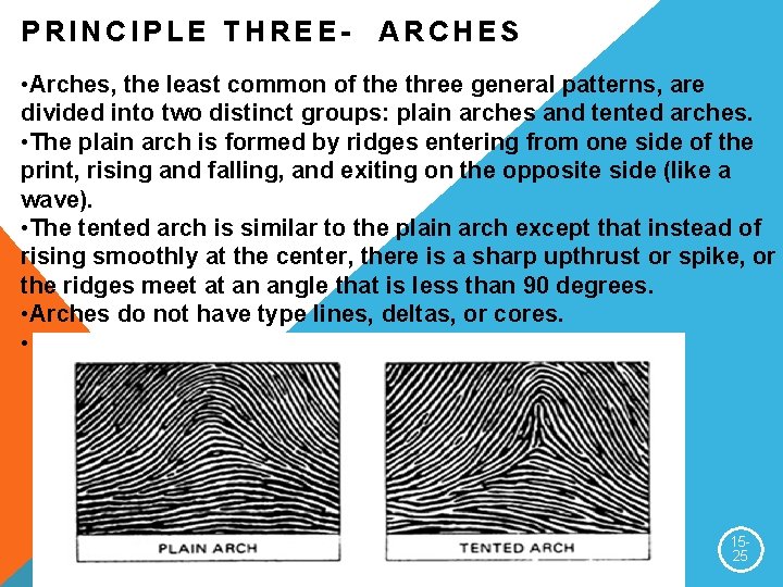 PRINCIPLE THREE- ARCHES • Arches, the least common of the three general patterns, are