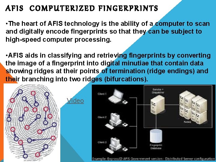 AFIS COMPUTERIZED FINGERPRINTS • The heart of AFIS technology is the ability of a
