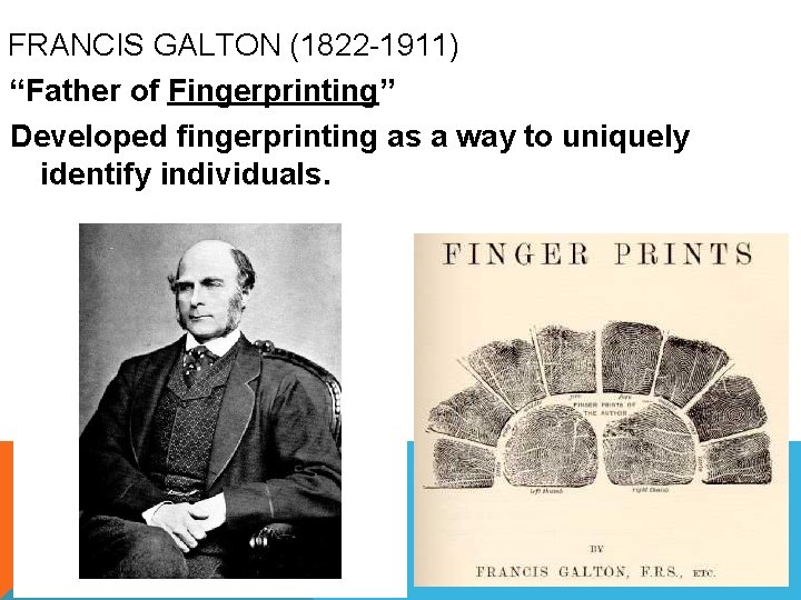FRANCIS GALTON (1822 -1911) “Father of Fingerprinting” Developed fingerprinting as a way to uniquely