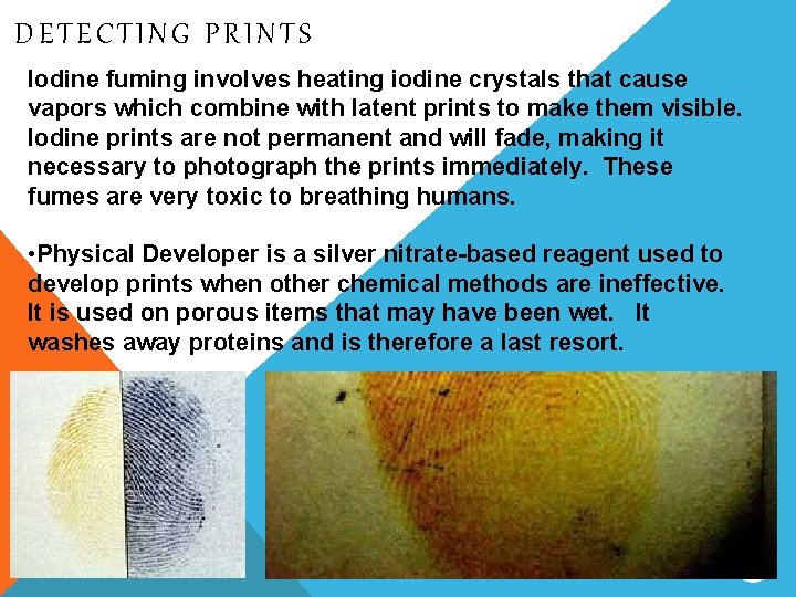 DETECTING PRINTS Iodine fuming involves heating iodine crystals that cause vapors which combine with