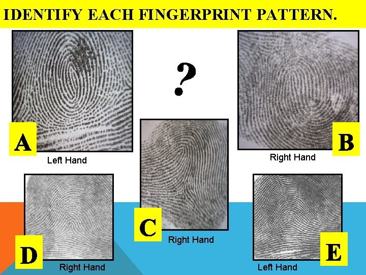 IDENTIFY EACH FINGERPRINT PATTERN. Right Hand Left Hand 
