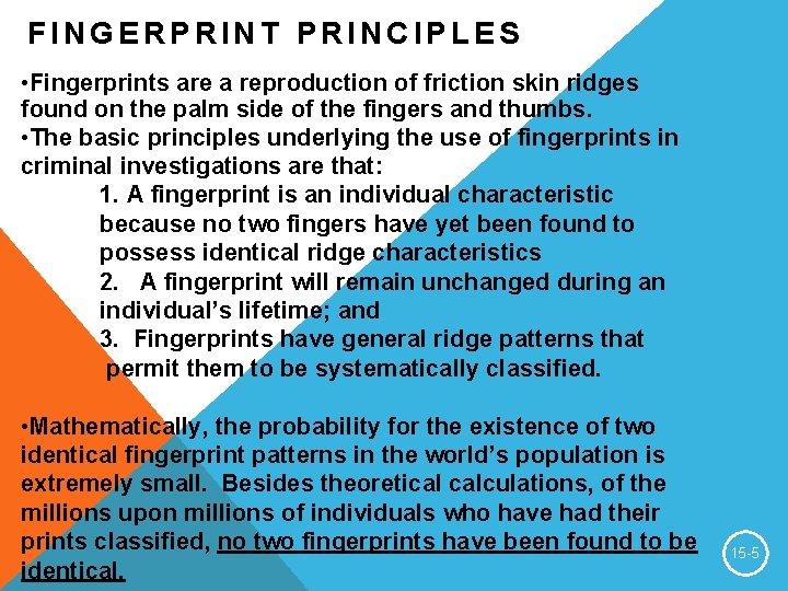 FINGERPRINT PRINCIPLES • Fingerprints are a reproduction of friction skin ridges found on the