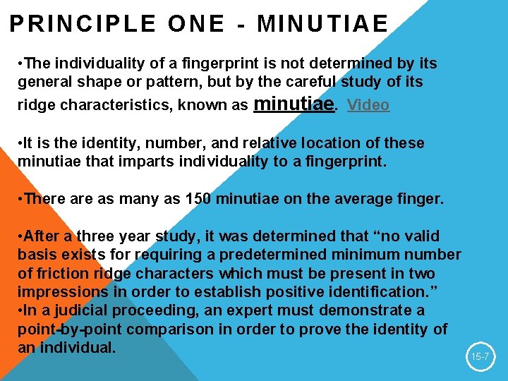 PRINCIPLE ONE - MINUTIAE • The individuality of a fingerprint is not determined by