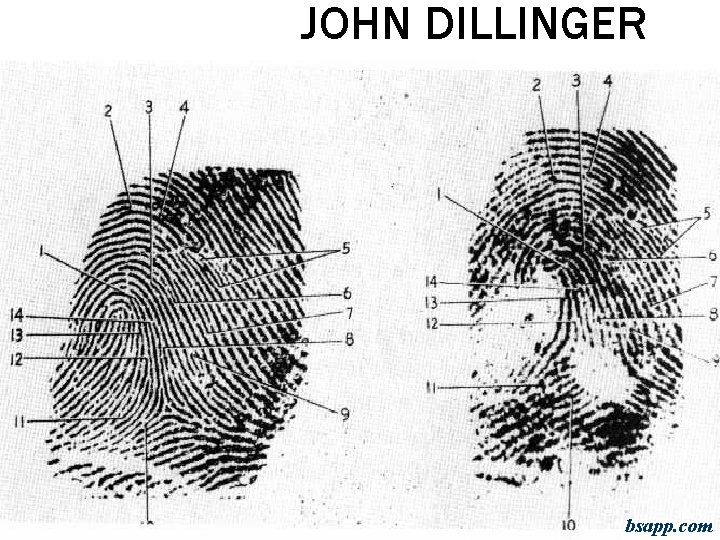 JOHN DILLINGER bsapp. com 