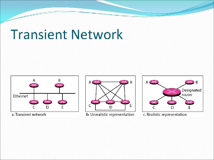 Transient Network 
