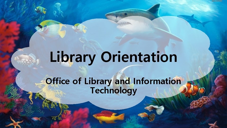 Library Orientation Office of Library and Information Technology 