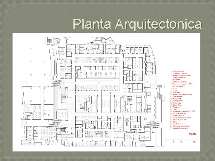 Planta Arquitectonica 