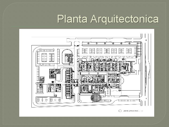 Planta Arquitectonica 