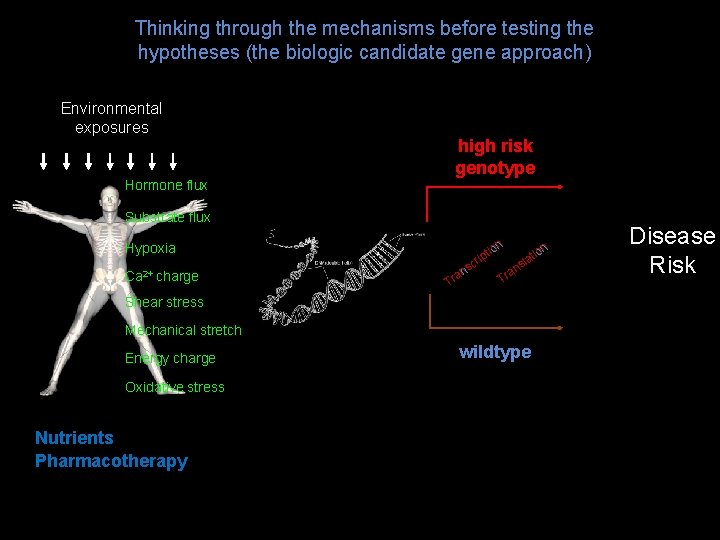 Thinking through the mechanisms before testing the hypotheses (the biologic candidate gene approach) Environmental