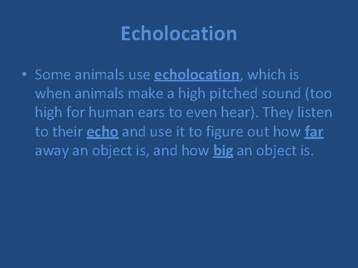 Echolocation • Some animals use echolocation, which is when animals make a high pitched