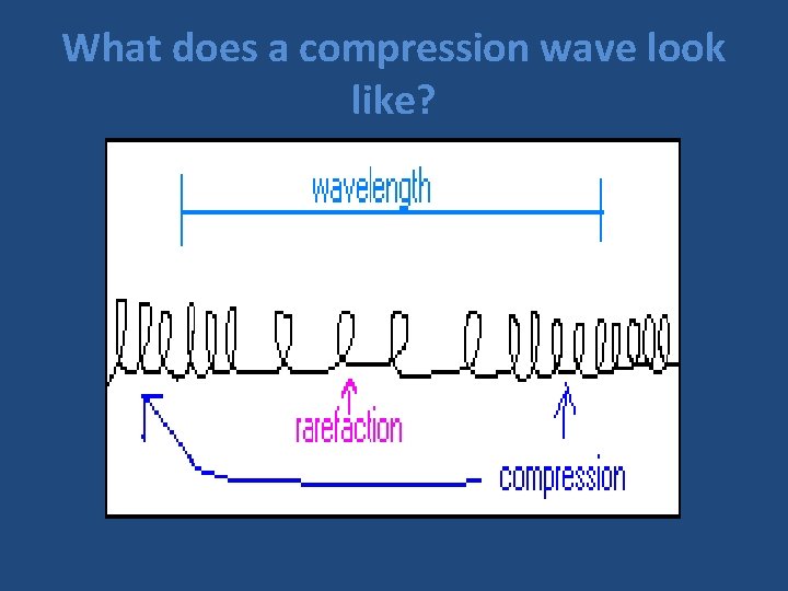 What does a compression wave look like? 