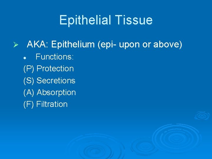 Epithelial Tissue AKA: Epithelium (epi- upon or above) Ø Functions: (P) Protection (S) Secretions
