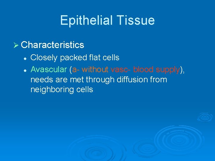 Epithelial Tissue Ø Characteristics l l Closely packed flat cells Avascular (a- without vasc-