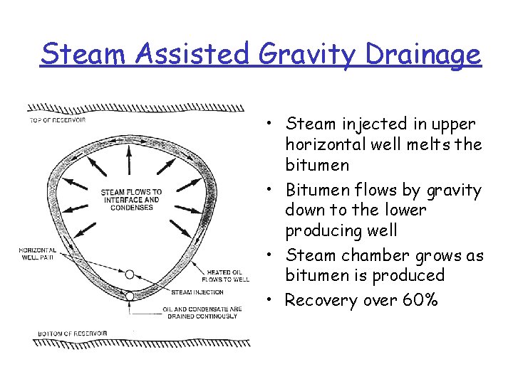 Steam Assisted Gravity Drainage • Steam injected in upper horizontal well melts the bitumen