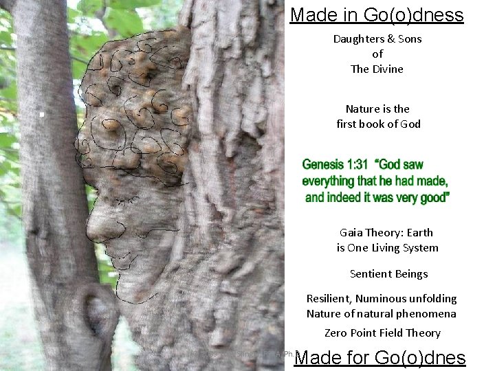 Made in Go(o)dness Daughters & Sons of The Divine Nature is the first book