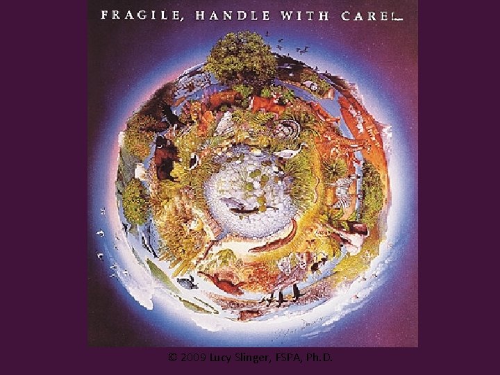 © 2009 Lucy Slinger, FSPA, Ph. D. 