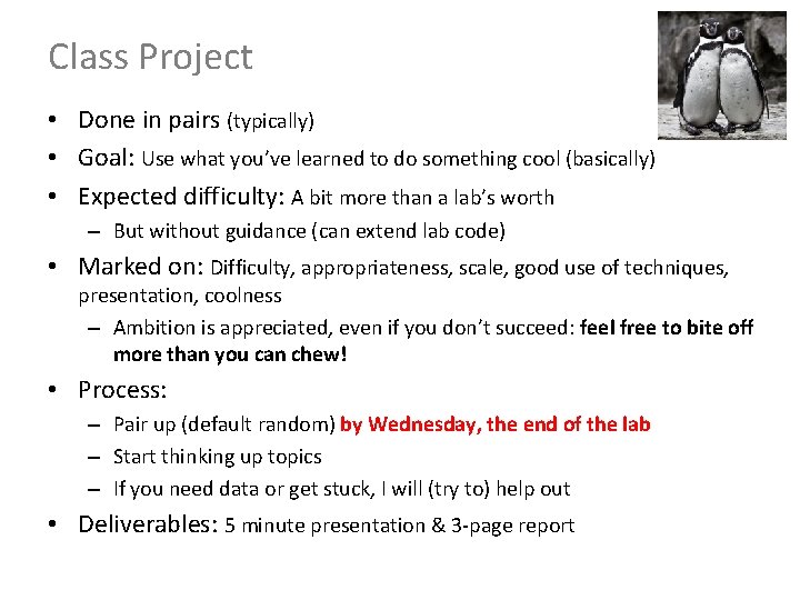 Class Project • Done in pairs (typically) • Goal: Use what you’ve learned to