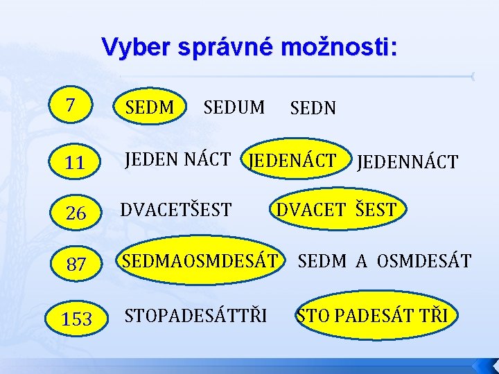 Vyber správné možnosti: 7 SEDM 11 JEDEN NÁCT JEDENÁCT 26 DVACETŠEST 87 SEDMAOSMDESÁT SEDM