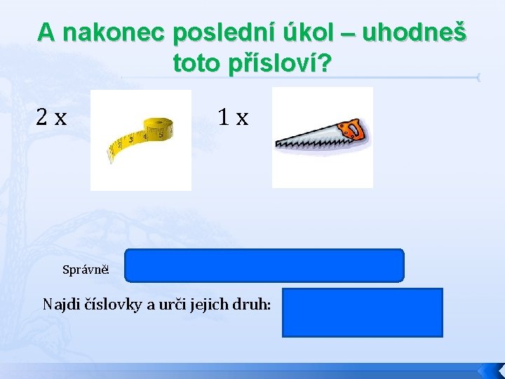 A nakonec poslední úkol – uhodneš toto přísloví? 2 x Správně! 1 x Dvakrát