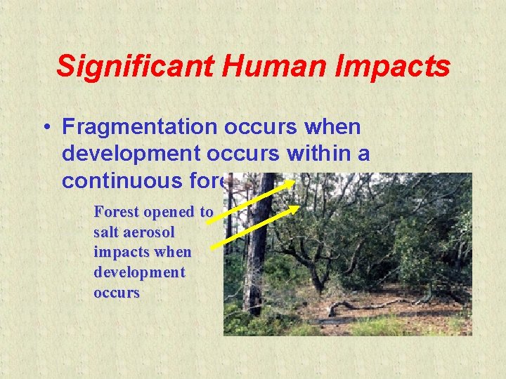 Significant Human Impacts • Fragmentation occurs when development occurs within a continuous forest Forest