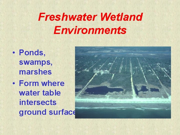 Freshwater Wetland Environments • Ponds, swamps, marshes • Form where water table intersects ground