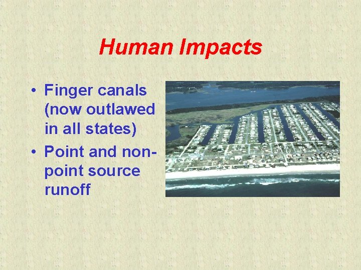 Human Impacts • Finger canals (now outlawed in all states) • Point and nonpoint