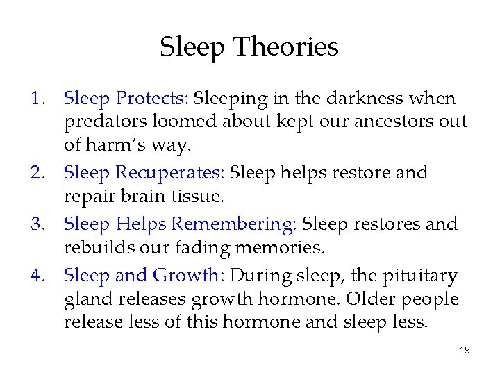 Sleep Theories 1. Sleep Protects: Sleeping in the darkness when predators loomed about kept