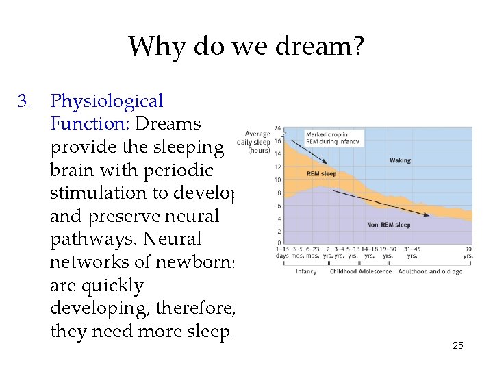 Why do we dream? 3. Physiological Function: Dreams provide the sleeping brain with periodic