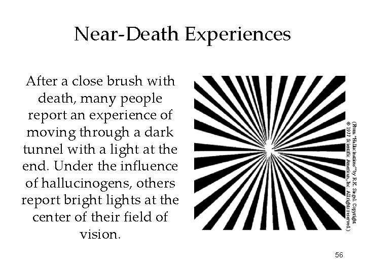 Near-Death Experiences (From “Hallucinations” by R. K. Siegel. Copyright © 1977 Scientific American, Inc.