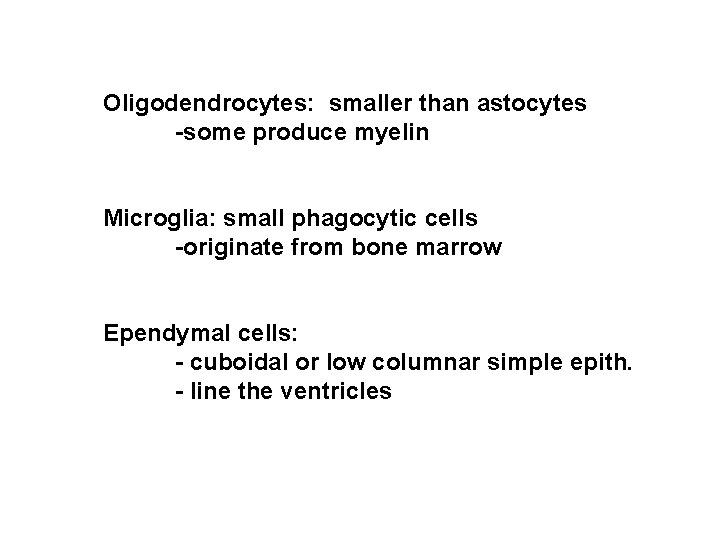 Oligodendrocytes: smaller than astocytes -some produce myelin Microglia: small phagocytic cells -originate from bone