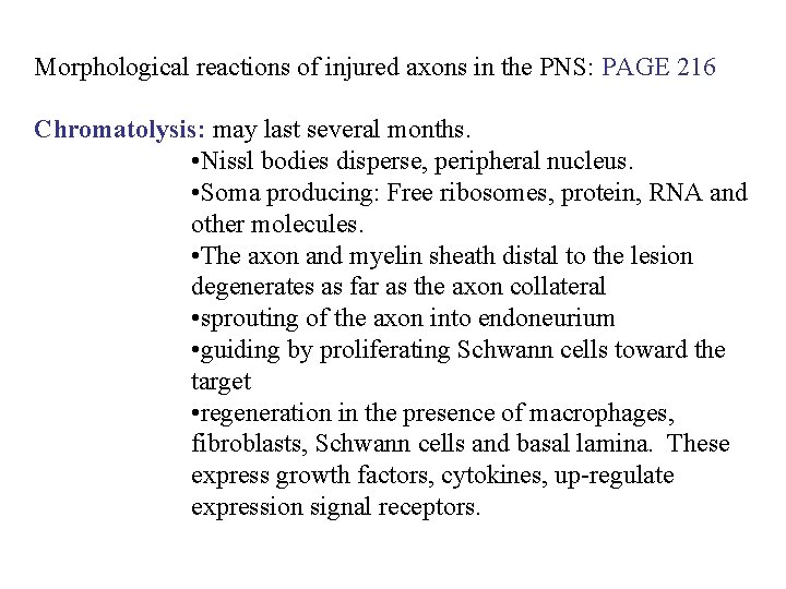 Morphological reactions of injured axons in the PNS: PAGE 216 Chromatolysis: may last several