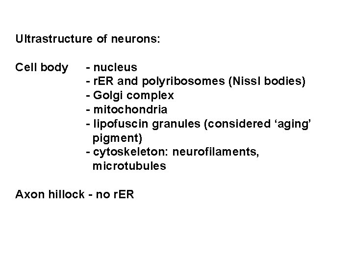 Ultrastructure of neurons: Cell body - nucleus - r. ER and polyribosomes (Nissl bodies)