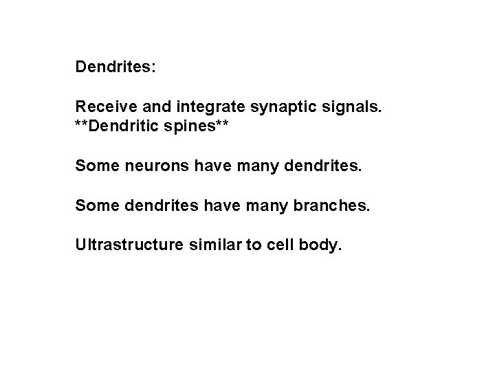 Dendrites: Receive and integrate synaptic signals. **Dendritic spines** Some neurons have many dendrites. Some