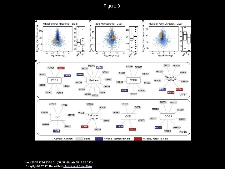 Integrated Transcriptome and Proteome Analyses Reveal OrganSpecific ...