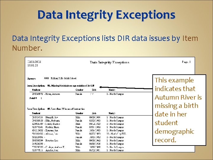 Data Integrity Exceptions lists DIR data issues by Item Number. This example indicates that