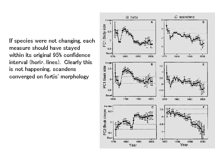 If species were not changing, each measure should have stayed within its original 95%