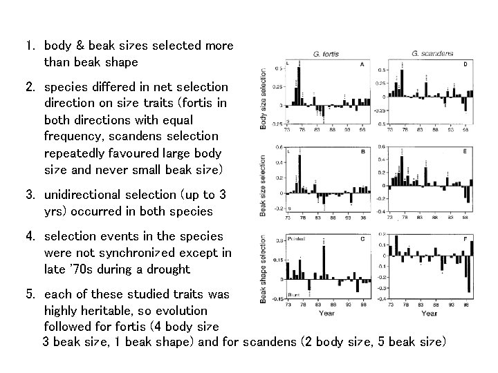 1. body & beak sizes selected more than beak shape 2. species differed in