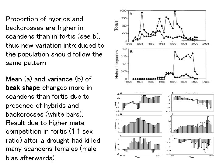 Proportion of hybrids and backcrosses are higher in scandens than in fortis (see b),