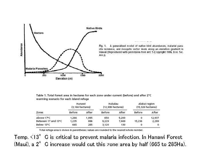 Temp. <13°C is critical to prevent malaria infection. In Hanawi Forest (Maui), a 2°C