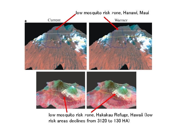 low mosquito risk zone, Hanawi, Maui low mosquito risk zone, Hakakau Refuge, Hawaii (low
