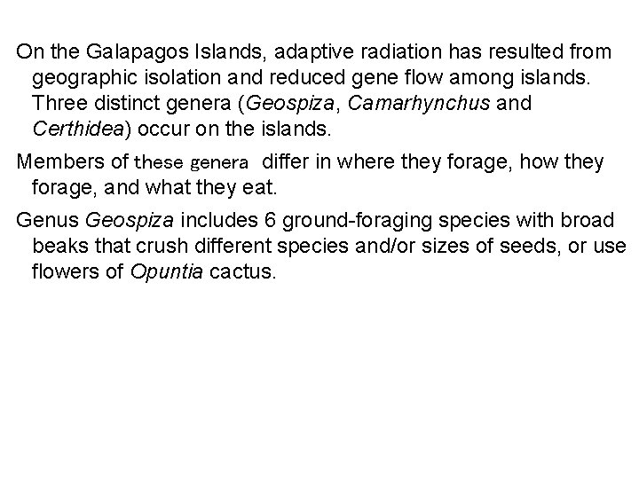 On the Galapagos Islands, adaptive radiation has resulted from geographic isolation and reduced gene