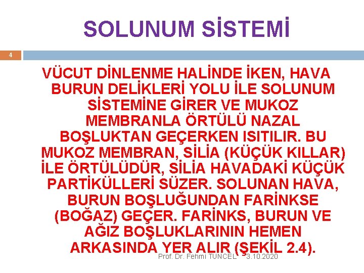 SOLUNUM SİSTEMİ 4 VÜCUT DİNLENME HALİNDE İKEN, HAVA BURUN DELİKLERİ YOLU İLE SOLUNUM SİSTEMİNE