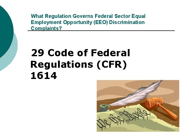 What Regulation Governs Federal Sector Equal Employment Opportunity (EEO) Discrimination Complaints? 29 Code of