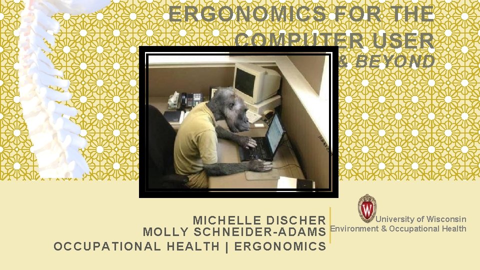 ERGONOMICS FOR THE COMPUTER USER & BEYOND MICHELLE DISCHER MOLLY SCHNEIDER-ADAMS OCCUPATIONAL HEALTH |