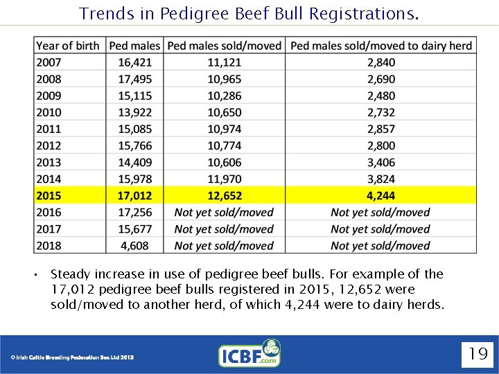 Trends in Pedigree Beef Bull Registrations. • Steady increase in use of pedigree beef