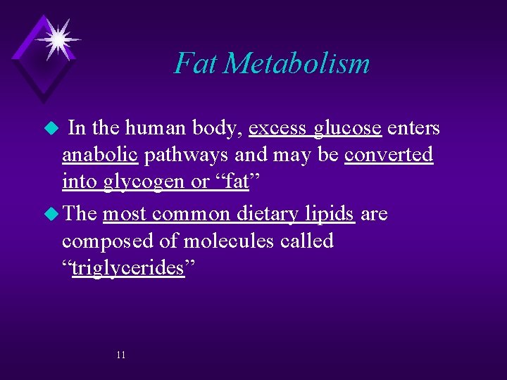 Fat Metabolism In the human body, excess glucose enters anabolic pathways and may be