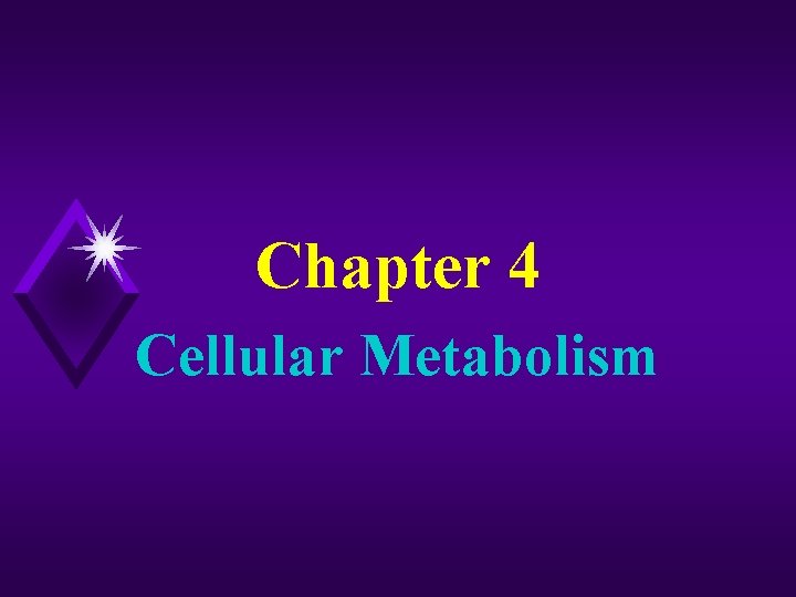 Chapter 4 Cellular Metabolism 