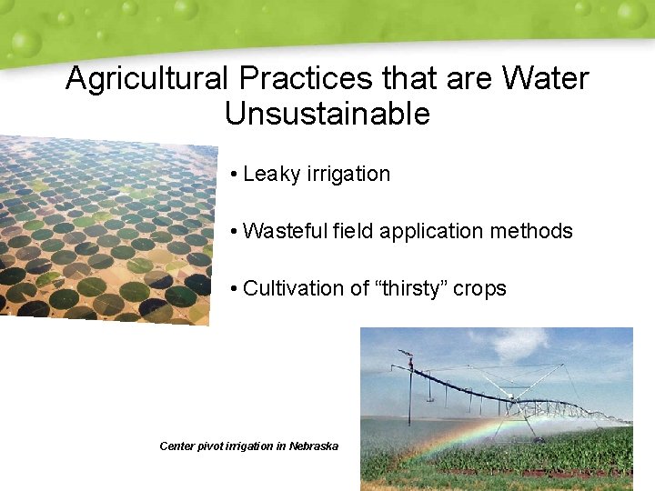 Agricultural Practices that are Water Unsustainable • Leaky irrigation • Wasteful field application methods