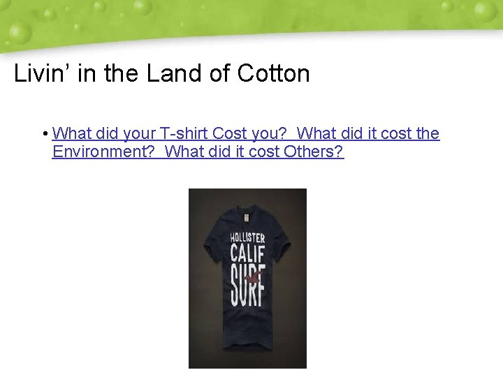 Livin’ in the Land of Cotton • What did your T-shirt Cost you? What